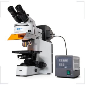 LABMICROSCOPE.RU LABMICROSCOPE.RU